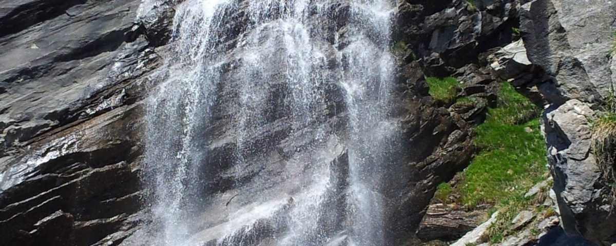 ulrike-neff-warumnur-blog