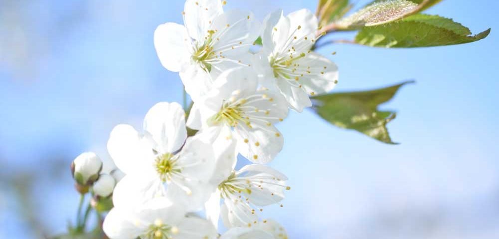 ulrike-neff-blog-tipps